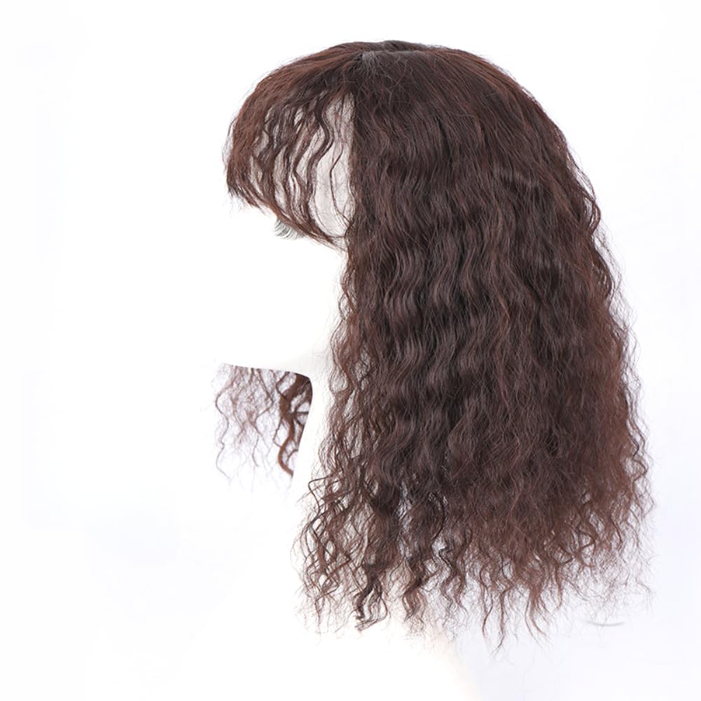 Clip in Toppers Synthetic Curly Hair Wiglet Hairpiece for Women Thin Hair (Dark brown,25cm)