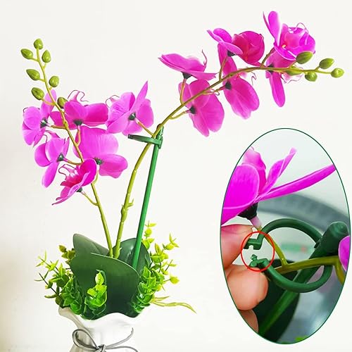 Miniatura 5 de Belit Paquete de 8 estacas de soporte para plantas pequeñas, estacas ajustables de soporte de un solo tallo para jardín, anillo de soporte para