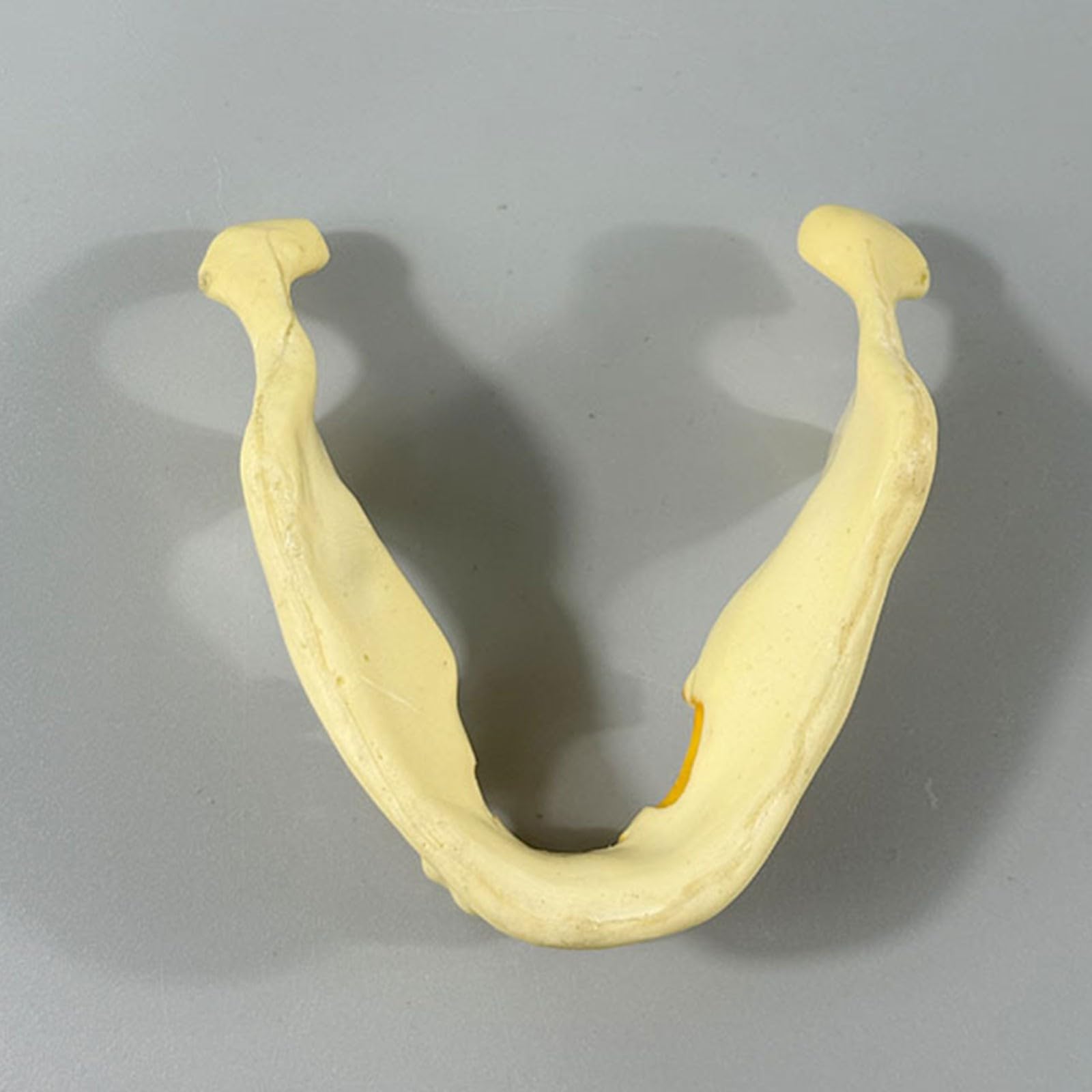 Model szczęki dentystycznej do praktyki implantologicznej, żuchwy do wiercenia i wkładania, idealny do treningu stomatologicznego i praktyki implantów zębów, do skutecznej praktyki