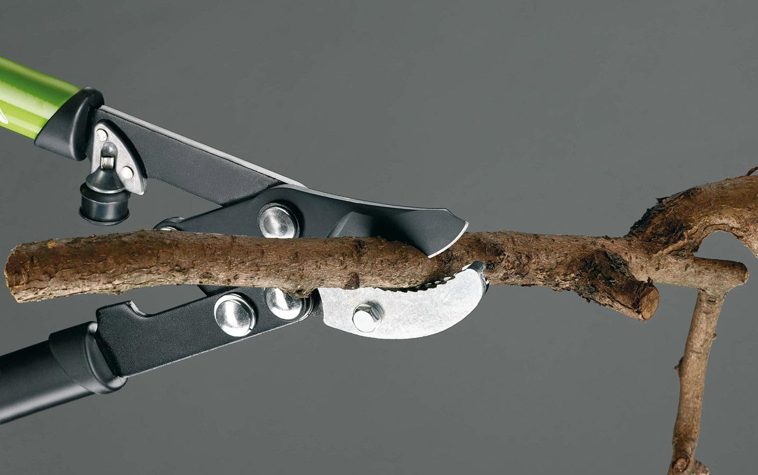 Troncarami per Potatura Alberi Rami Ø40 mm con Rinvio a Battente Rama