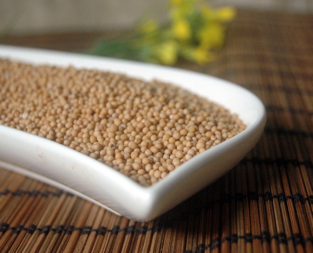 graines de moutarde jaune 1 Kg