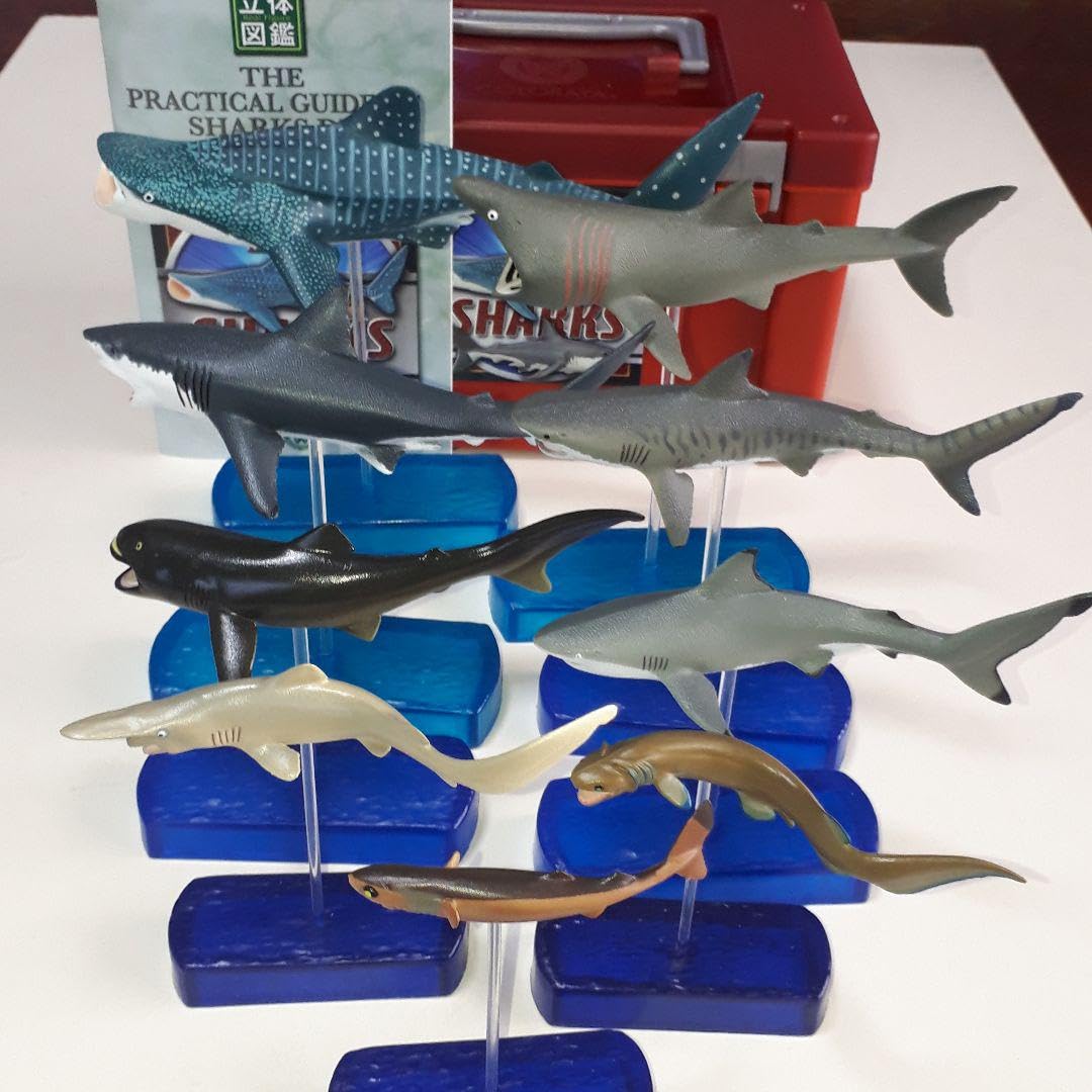 値下げしました。サメのからだ 立体モデル大図鑑 コブラ タランチュラ 3冊セット 立体モデル大図鑑サメのからだ (こどもライブラリー) | デビッド