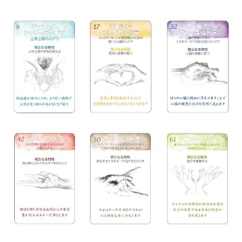 ムドラ手札: 108種類のムドラの意味・効能・実践手順 バラエティ