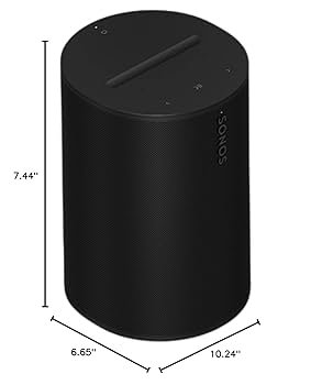 Amazon.com: Sonos Era 100 - Black - Wireless, Alexa Enabled