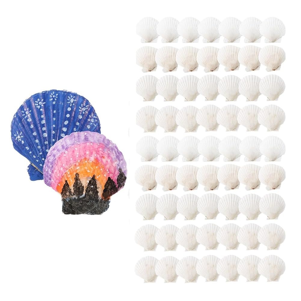 Coquillages pour l'artisanat : 100 pétoncles et huîtres de plage DIY