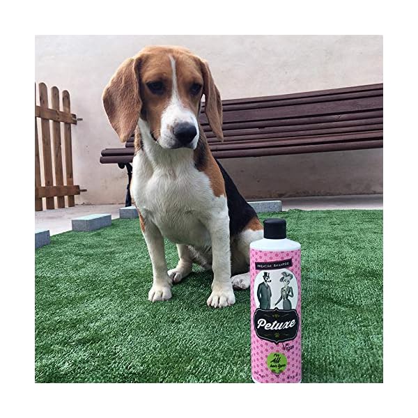 Petuxe Shampoo für Hunde und Haustiere, für alle Haartypen – Bild 8