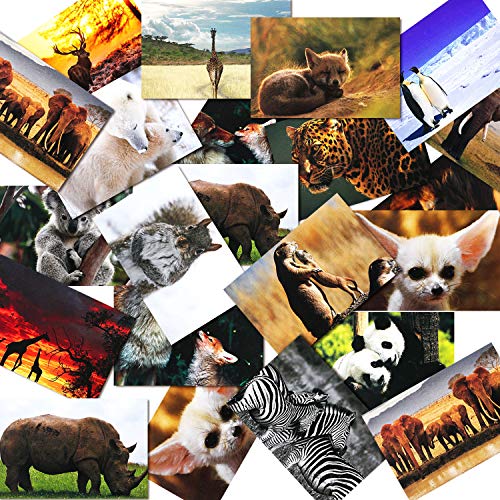 Outus 60 Pieces Wild Animal Blank Postcards for Mailing Pandas Lions Polar Bears Penguins Elephants Giraffes Cards Greeting Welcome Postcards for Kids Teachers, 4 x 6 Inches, 20 Styles