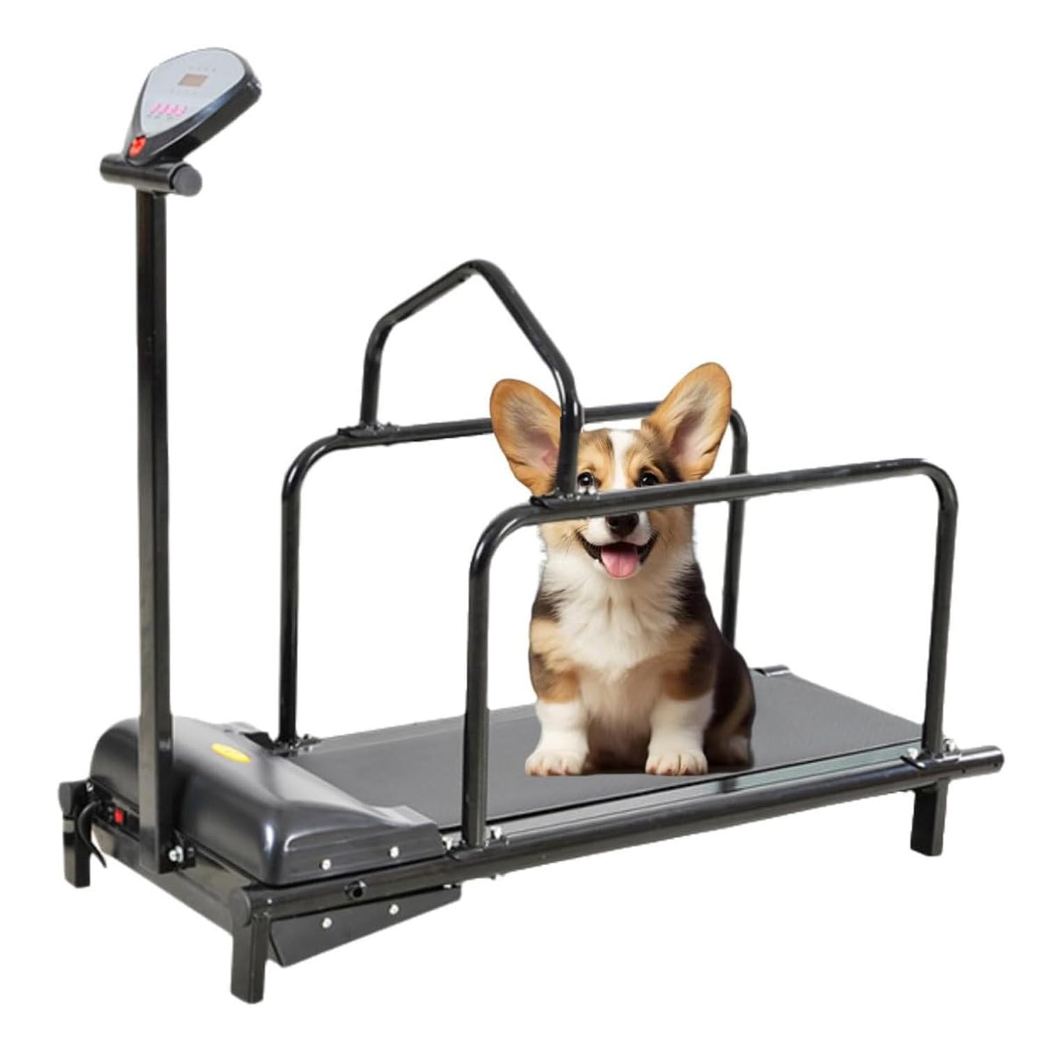 Hundelaufband Für Kleine Hunde, Indoor-Haustier-Laufmaschine, Hundelaufband Für Kleine Hunde, Elektrisches Hundelaufgerät, Sicherheitsschalter-Design, Verstellbare Geschwindigkeit, Bis Zu 80 KG,Black