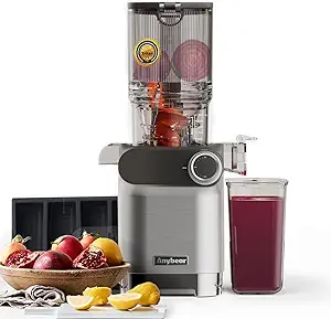Cold Press Juicer, 200W Masticating Slow Juicer 4.3" Large Feed Chute Fit Whole Fruits Vegetables | Upgraded Auger | Tritan Material | BPA Free | Juice Recipes (Silver US)