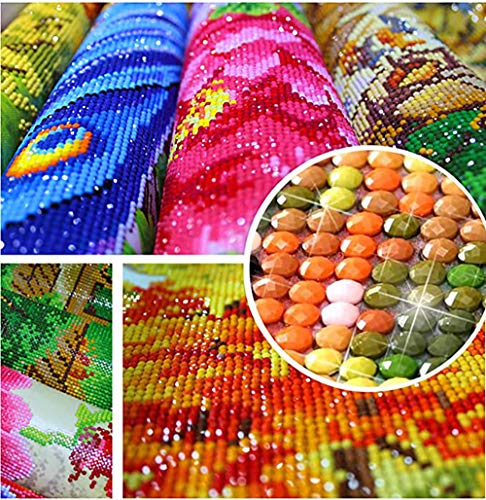 image for DIY 5d Diamond Painting Kits for Adults, Mosaic Making Full Drill Colo