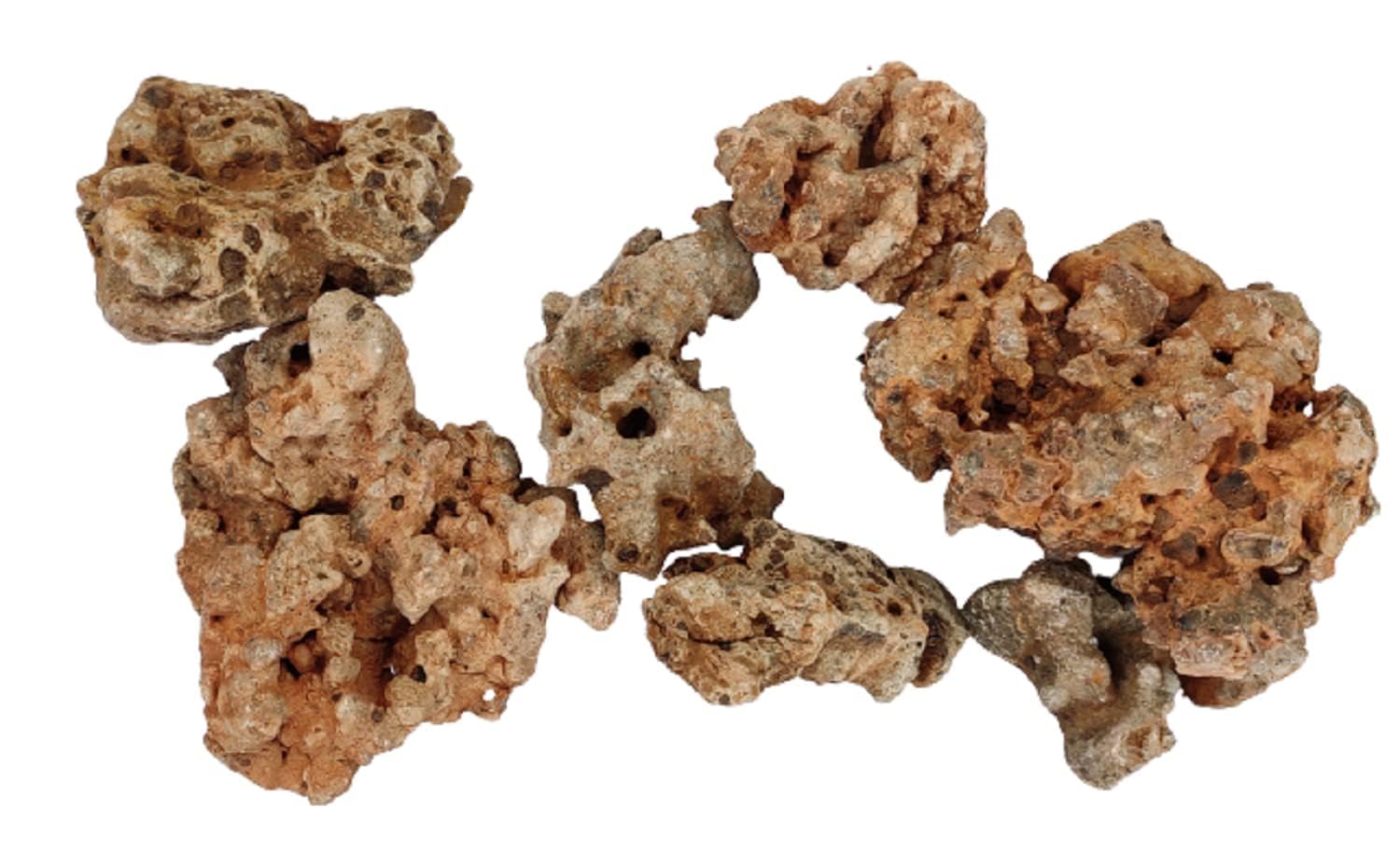 Maalavya Rock for Aquarium Decoration and Garden Decoration Congo Rocks/Hole Rocks (5 KG) (B0D5YRX4QG) Amazon Price History, Amazon Price Tracker