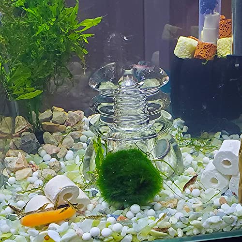 Image of 18lb Jade Bean Pebbles,1 /4 Inch Cactus Bonsai DIY Rocks, Natural Succulent Rock and River Rocks Decorative for Aquariums, Vases, Terrarium, Outdoor Gardening, Top Dressing for Potted Plants
