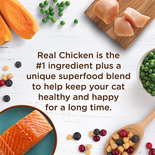 Rachael Ray Nutrish Longevity Premium Natural Dry Cat Food, Chicken with Chickpeas & Salmon Recipe, 14 Pounds (00071190001474)