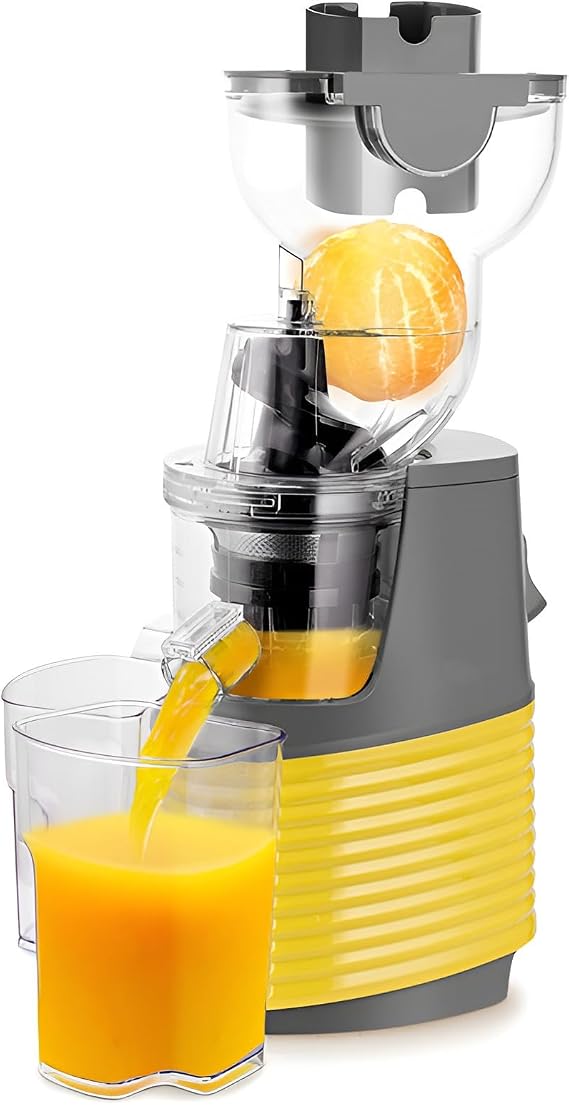 Multifunctional Juicer Machine, 76mm Diameter Slow Moisture Juicer, Professional Slow Juicer, Cold Press Mastic Juicer for Fruit and Vegetable