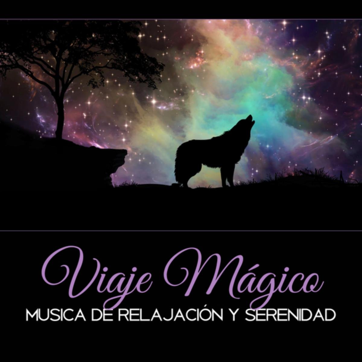 Club de Meditación Zazen