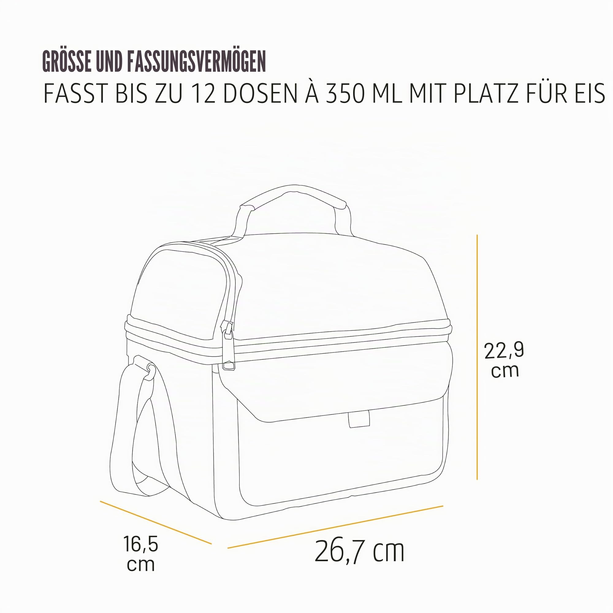 Carhartt Insulated 12 Can Two Compartment Lunch Cooler