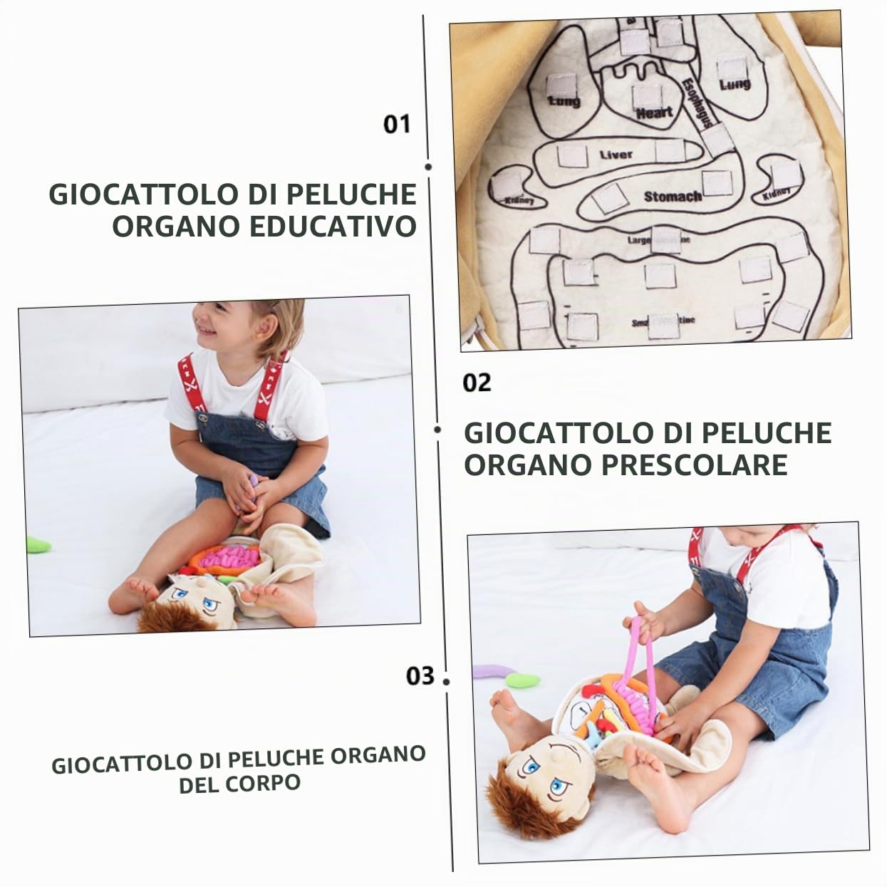 Giocattolo Educativo Organi Umani in Poliestere per Bambini