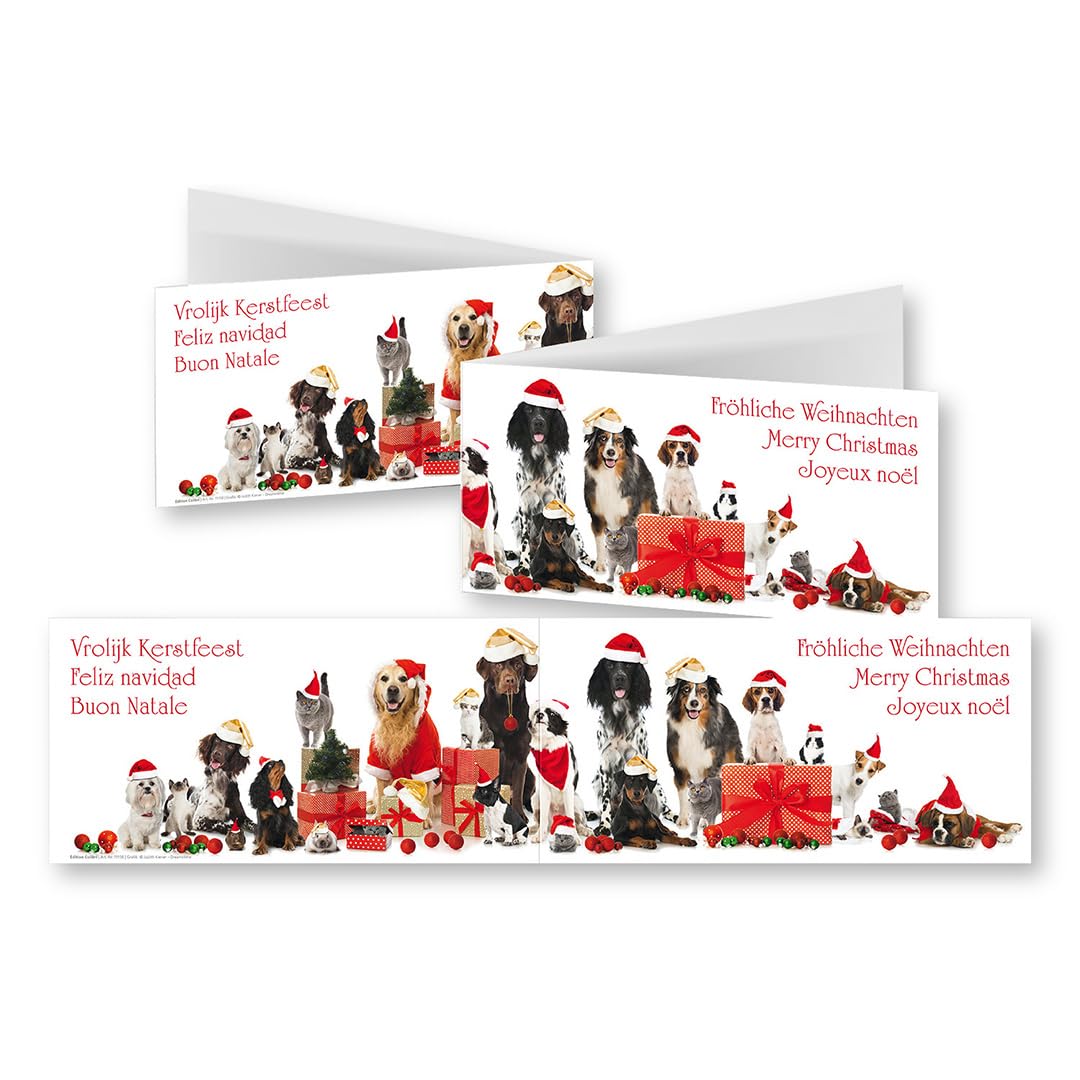 TRAHOO-10 Cartes De Noël Amusantes En Set Avec Enveloppes : Format