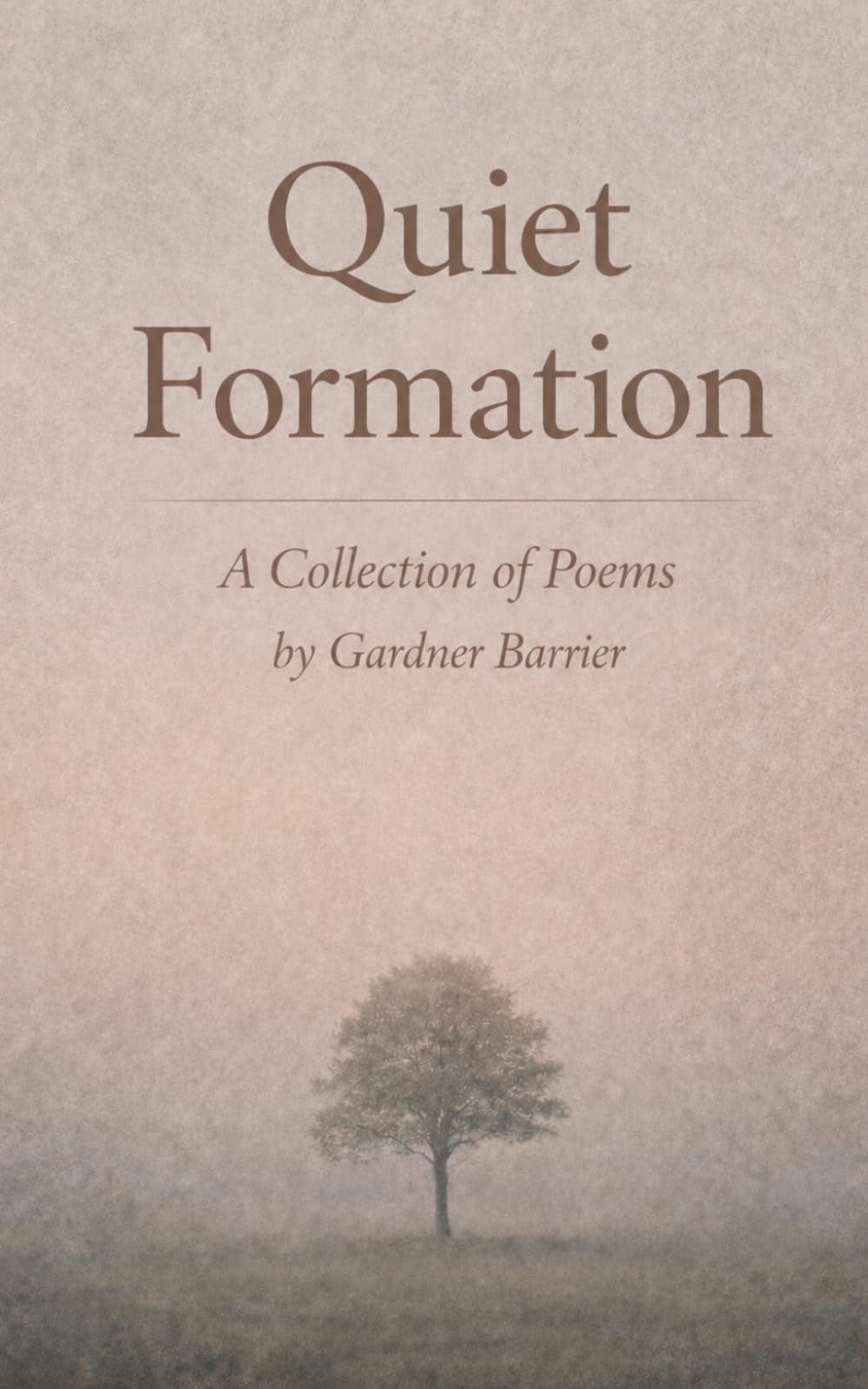 Quiet Formation: A Collection of Poems