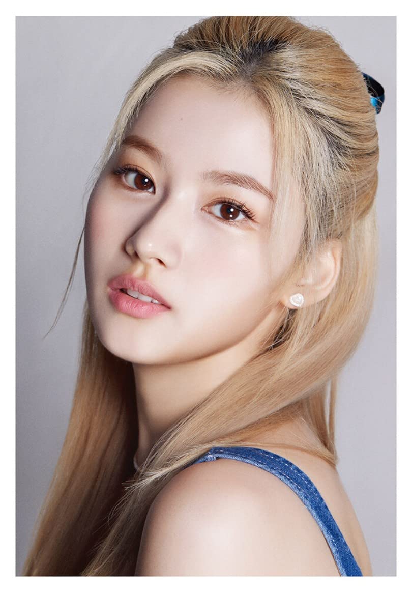 Amazon.co.jp: DICON D'FESTA TWICE : SANA : おもちゃ