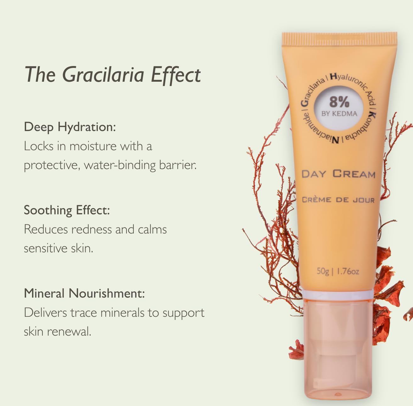 KEDMA 8% - Hydrating Day Cream with Hyaluronic Acid and Collagen - Radiance and Tone - Kombucha and Niacinamide - All Skin Types - Paraben, Sulfate, and Silicone-Free - 50g - Image 2