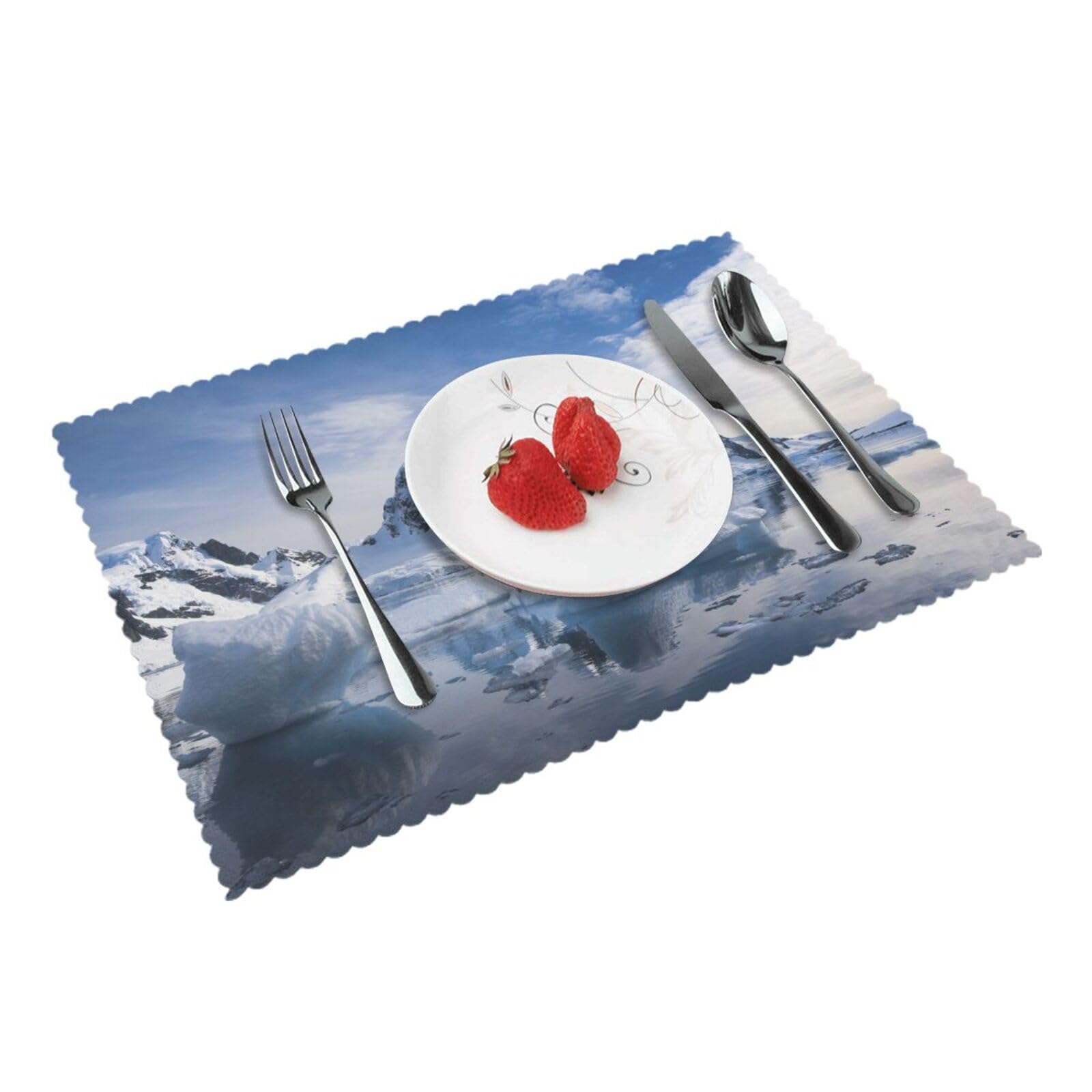 South Polar Printed Placemats Set of 4 PCS Washable Placemat for Kitchen Table Heat-resistant Table Mats 45x30 CM