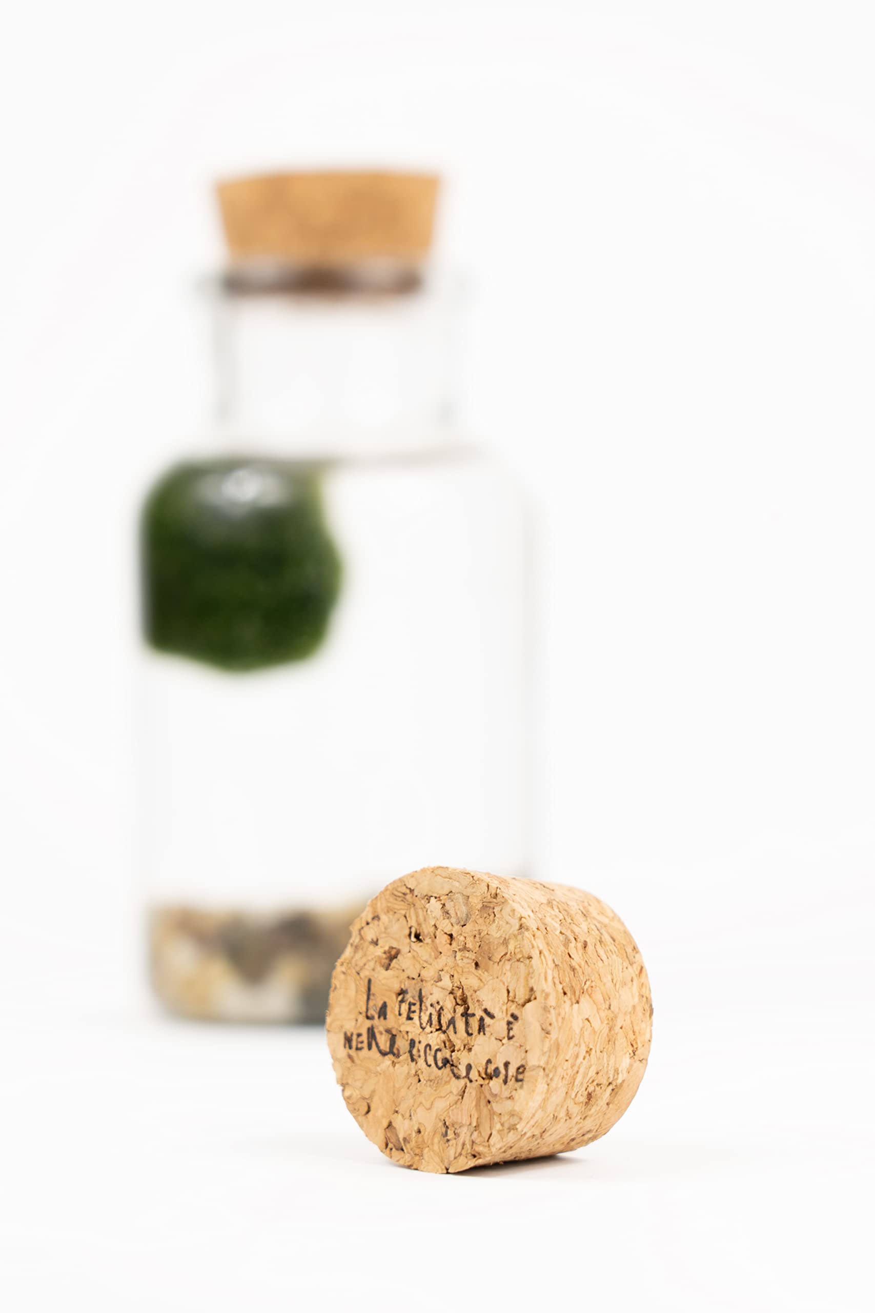 KAKI La Felicità è Nelle Piccole Cose Marimo Bottiglia in Vetro con Tappo in Sughero, Vaso Artigianale Made in Italy, Diametro 4 cm, Altezza 11 cm, Fondale Naturale, Decorazione Zen