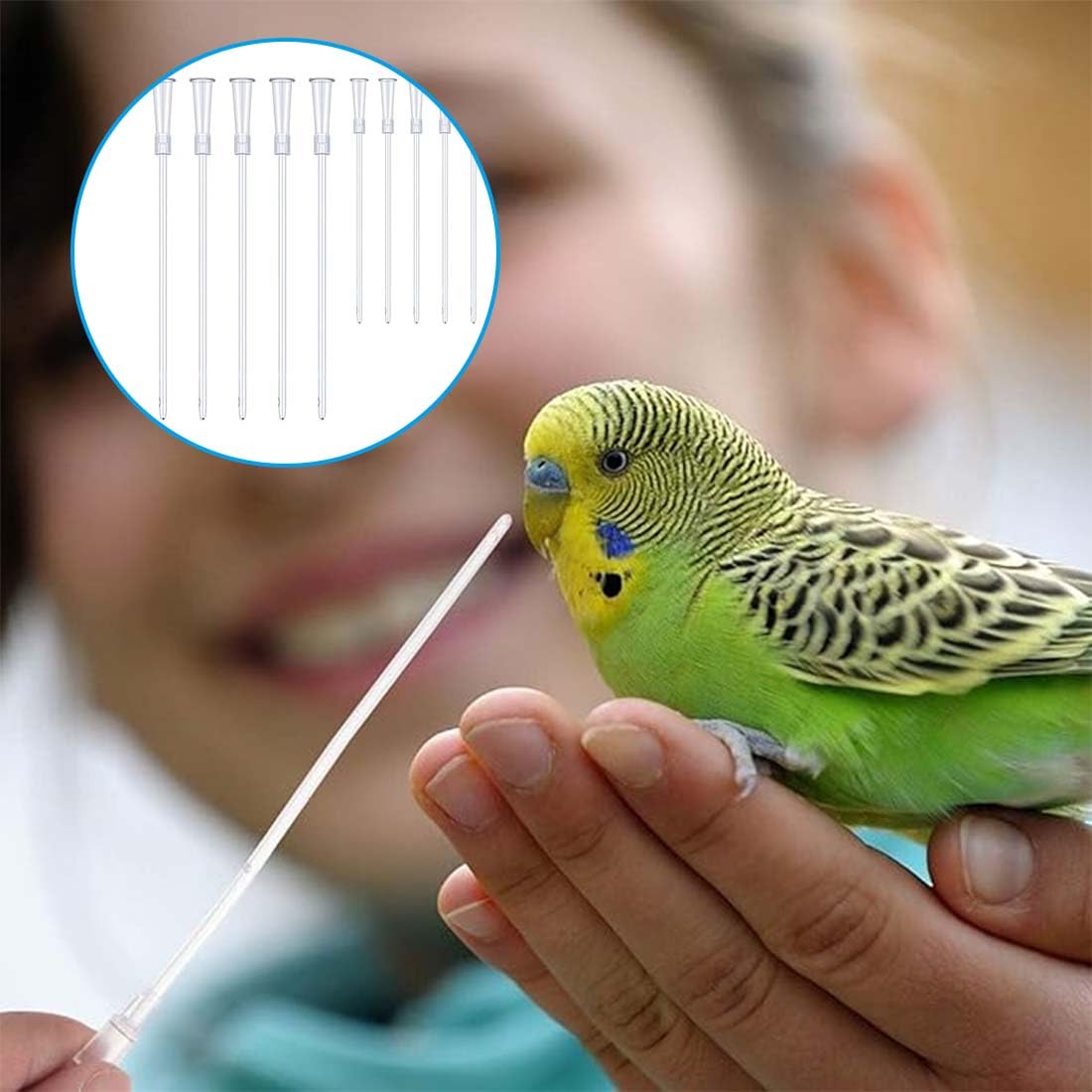 10 Pz Alimentatore Pappagalli Trasparente Uccelli Alimentazione Tubi Veloce Alimentazione Tubo Siringa per Bambino Pet Uccelli