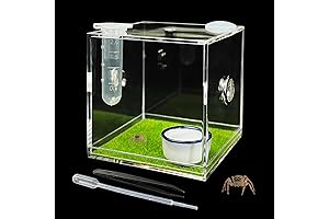 GKPONSX Acrylic Jumping Spider Enclosure Kit