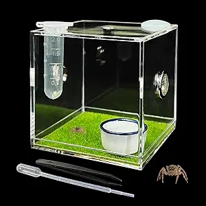 GKPONSX Acrylic Jumping Spider Enclosure, Spider Terrarium Accessories with Bowls Tongs Dropper for Snail Tarantula Scorpion Praying Mantis Isopods Insects
