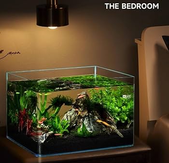 アクアリウム鑑賞　ガラス容器10個セット 楽天市場】アクアリウム ガラス容器の通販