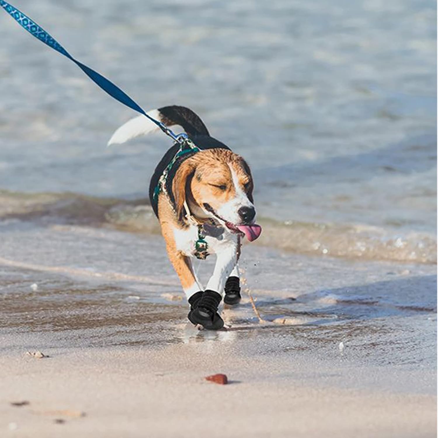 Breathable Dog Boot, Waterproof Dog Boots with Reflective Strap, Dog Shoes with Rubber Sole Hand Washable for Small Medium Large Dogs