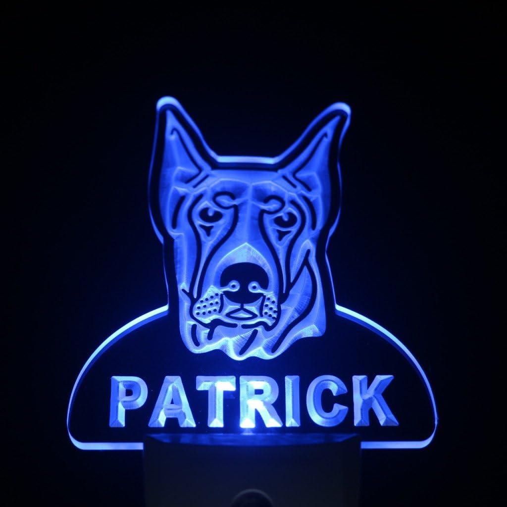 ADVPRO ws1067-tm Doberman Pinscher Personalized Night Light Name Day/Night Sensor LED Sign