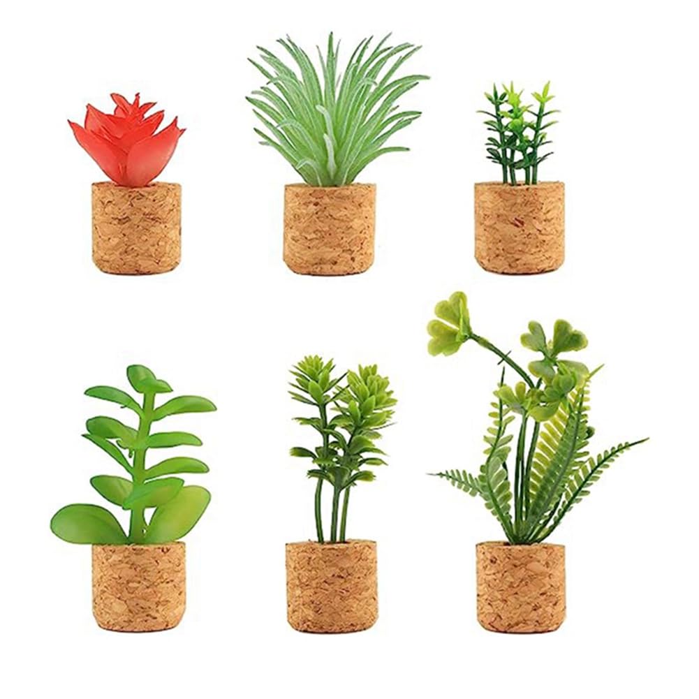 CTRLZS 6 Pcs Cactus Refrigerator Magnets Mini Cute Plant Fridge Magnet Decoration Accessories for Home Kitchen