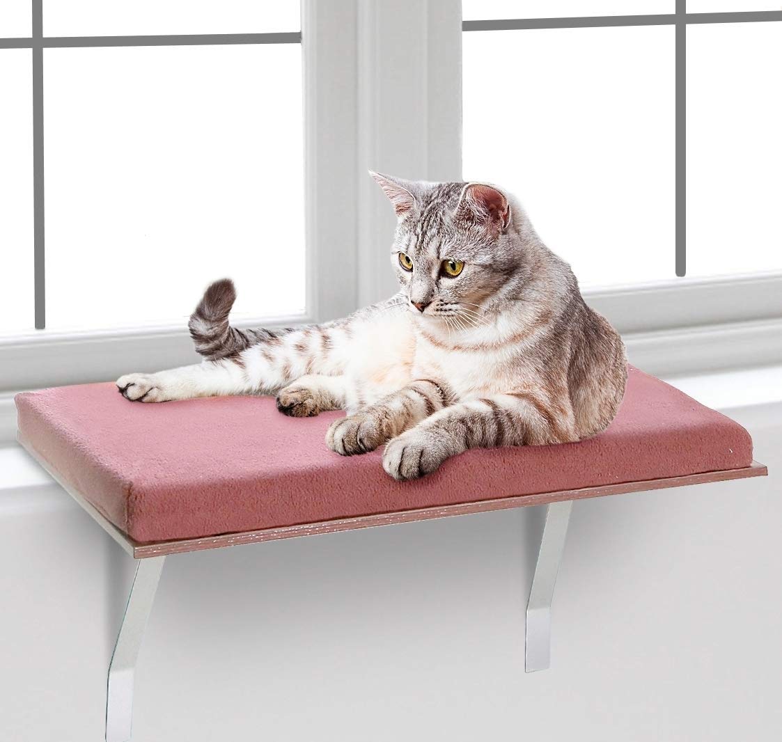 amazon cat window seat