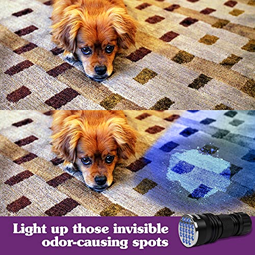 Image of Simple Solution UV Urine Detector, Pet Stain Blacklight, 1 Count (Pack of 2)