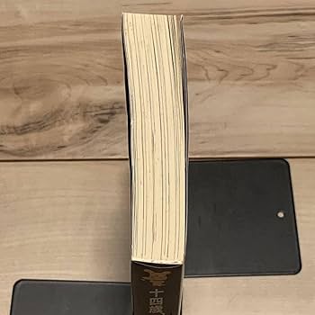 Amazon.co.jp: 林田球イラスト多数掲載絶版希少 初版帯付 中島望