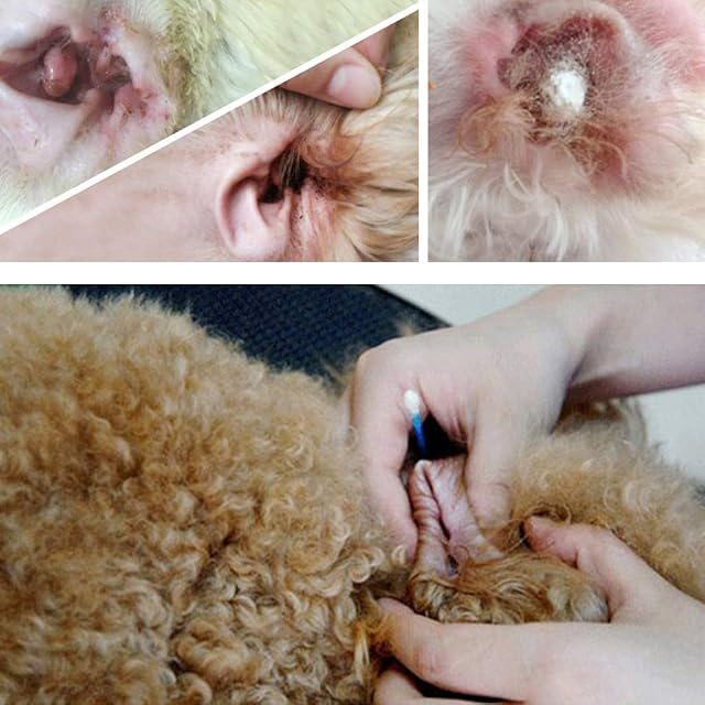 Foto 3 de 8 de BHUEHSS Polvo para Orejas de Mascotas, Limpiador de Orejas Seguro para Mascotas, Polvo de Limpieza Natural