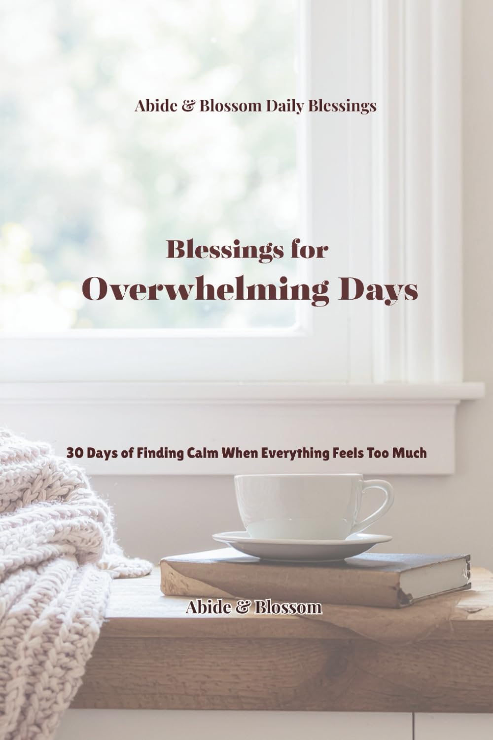 Blessings for Overwhelming Days: 30 Days of Finding Calm When Everything Feels Too Much (Abide & Blossom Daily Blessings)