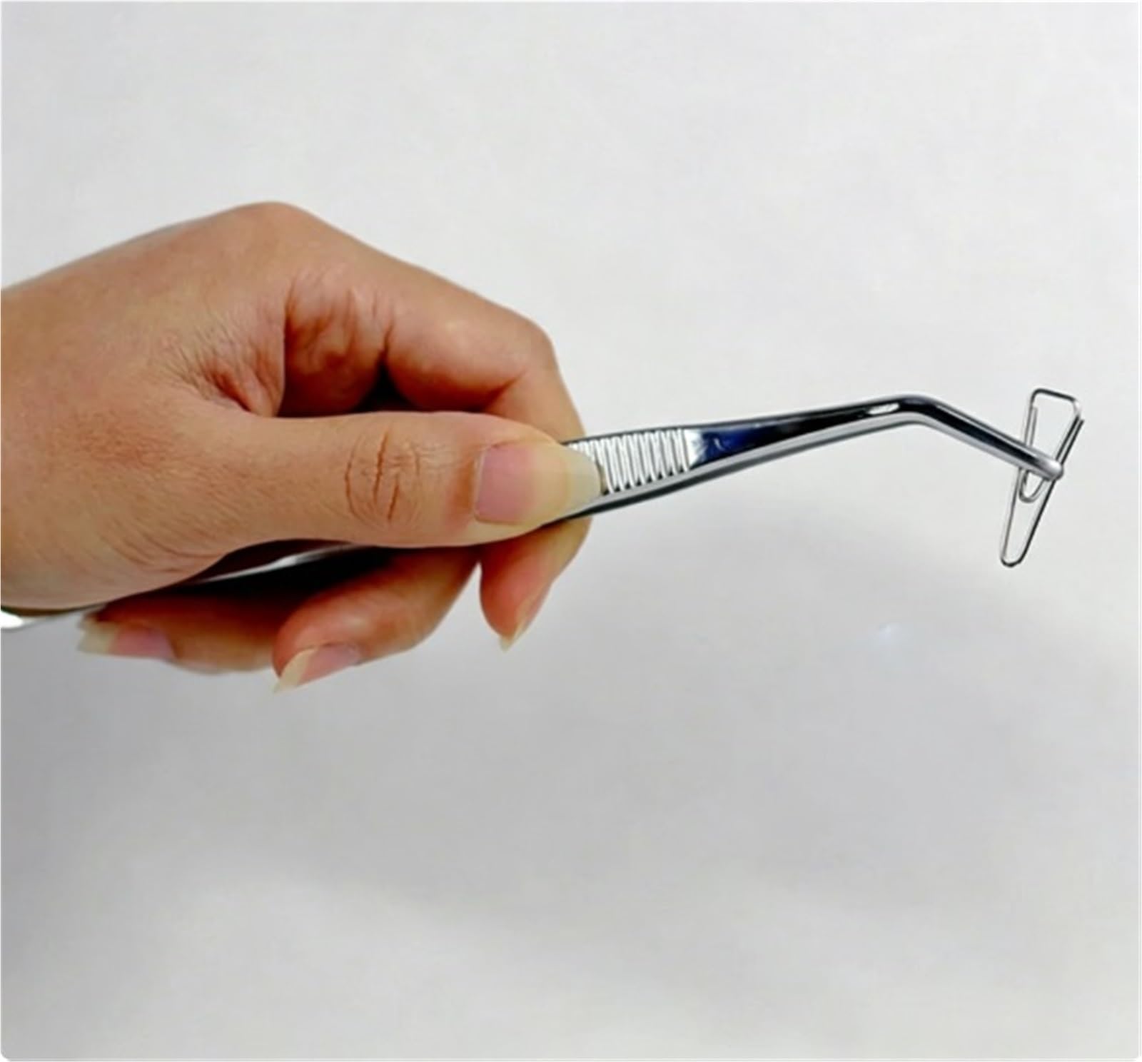 5pcs/10pcs Curved Tweezer 12.5/14/16/18/20/25/30cm Thicken Medical Surgical Tweezer for Laboratory(20cm 5pcs)
