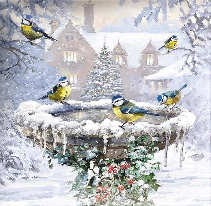 The brains trust charity robin christmas cards