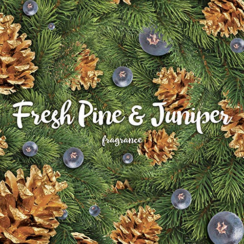 image for Air Wick Plug in Scented Oil 2 Refills, Fresh Pine and Juniper, Fall s