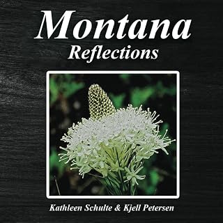 Montana Reflections