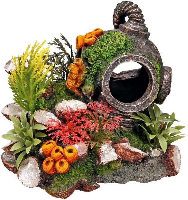 oggetti d arredo per acquario