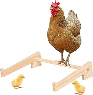Perchoir à Poulailler - Support en Bois pour Perchoir de Pondeuse - Barre de Perchage Poules Oiseaux Perroquets Jeu & Entraînement | Aire de Jeu pour Oiseaux et Poussins