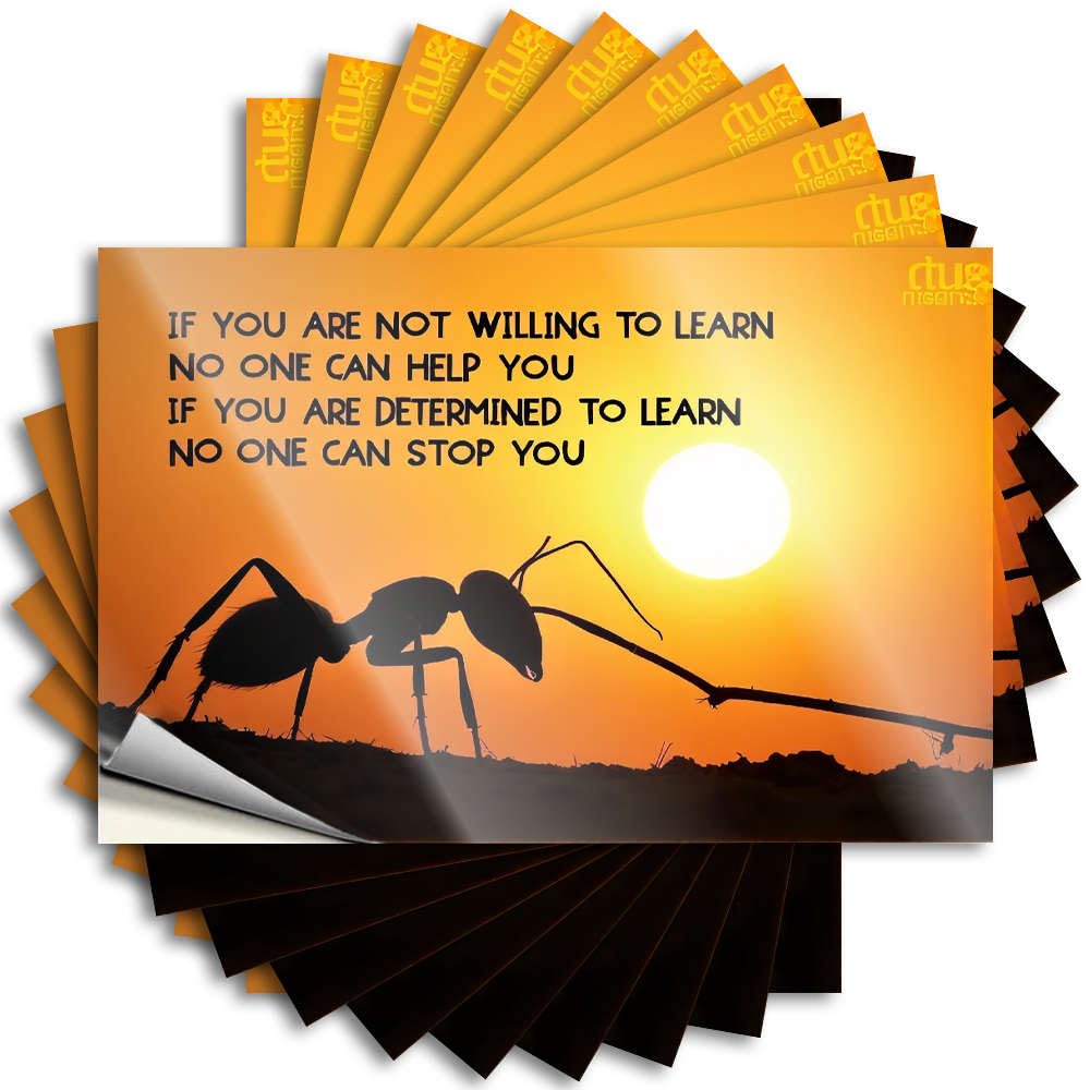 Ant Silhouette with Motivational Quote. Necessities Water DIY | Cute Decal Water Removable Vinyl Sticker Decal(12X18CM)