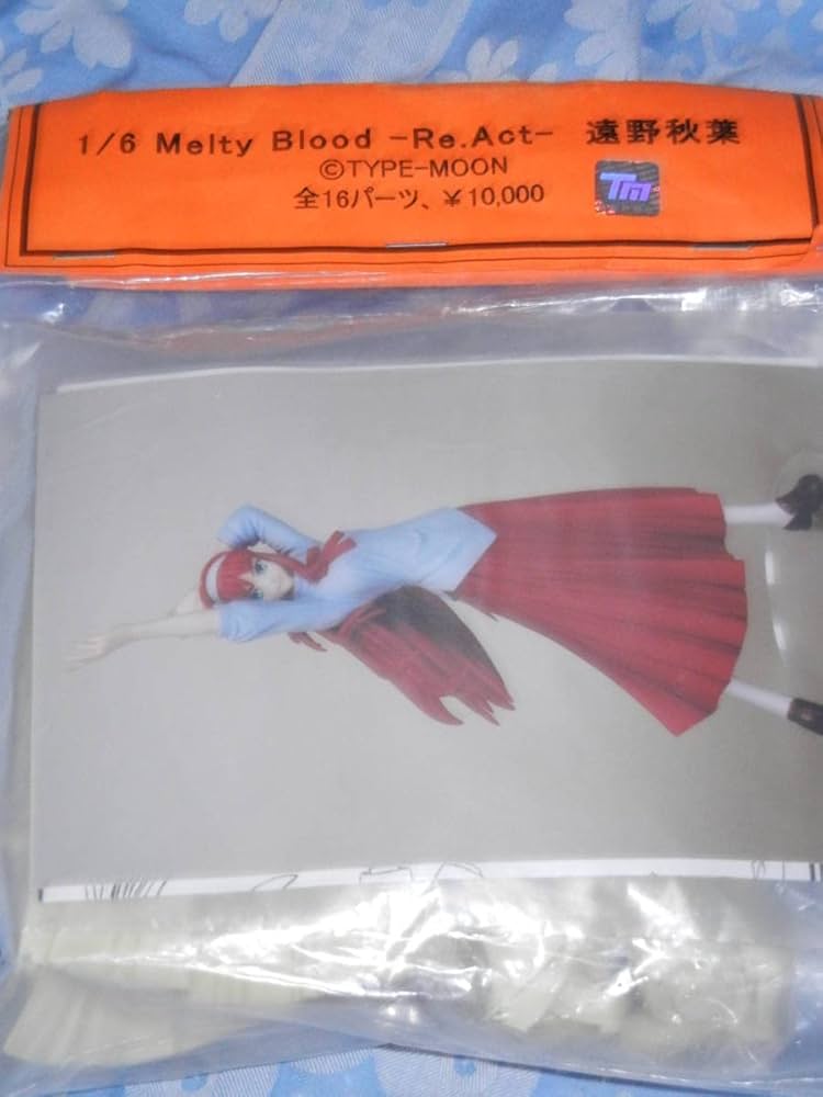 Amazon | Cerberus Project 1/6 遠野秋葉 ガレージキット ガレキ