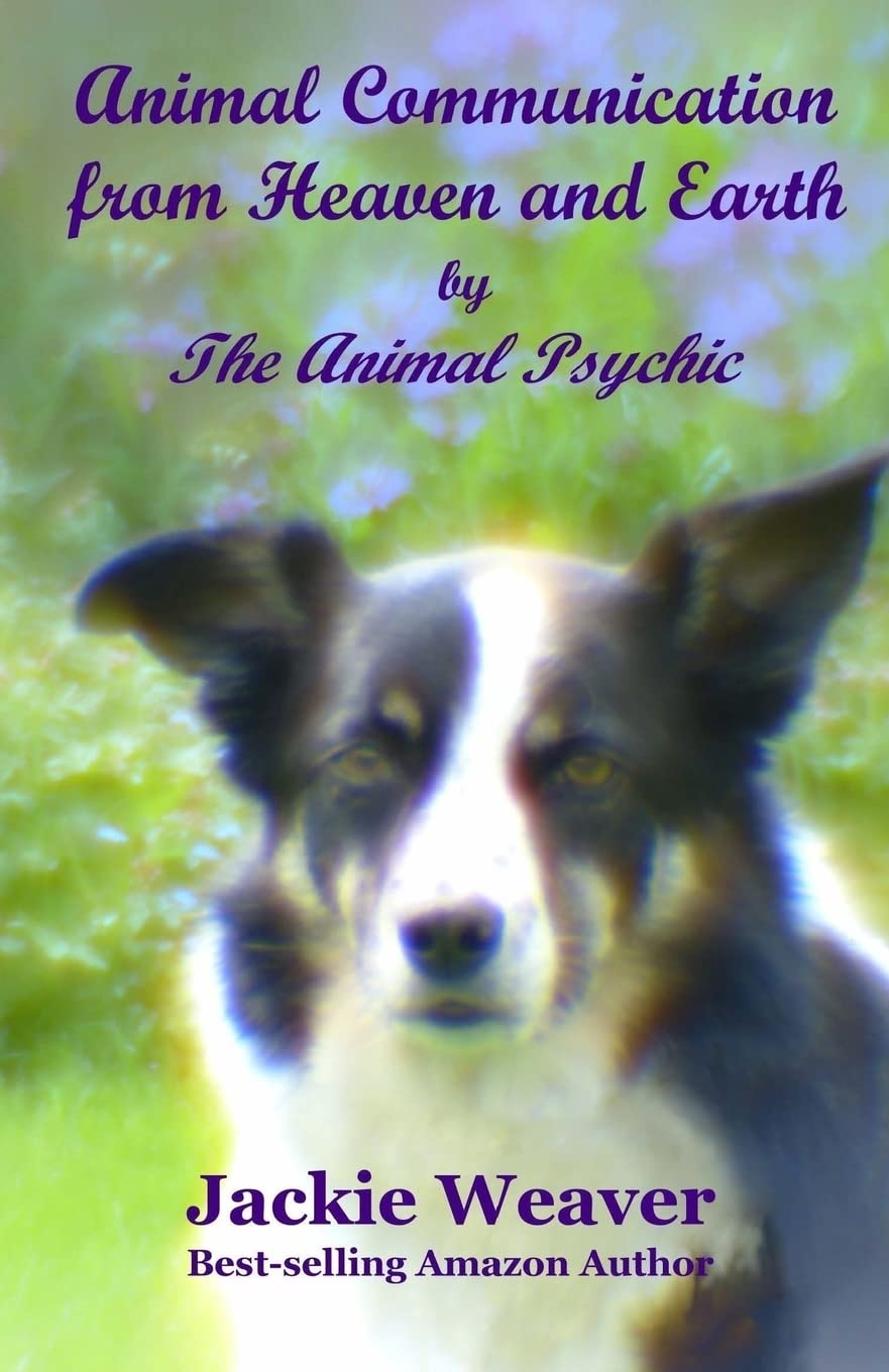 Animal Communication from Heaven and Earth: by The Animal Psychi