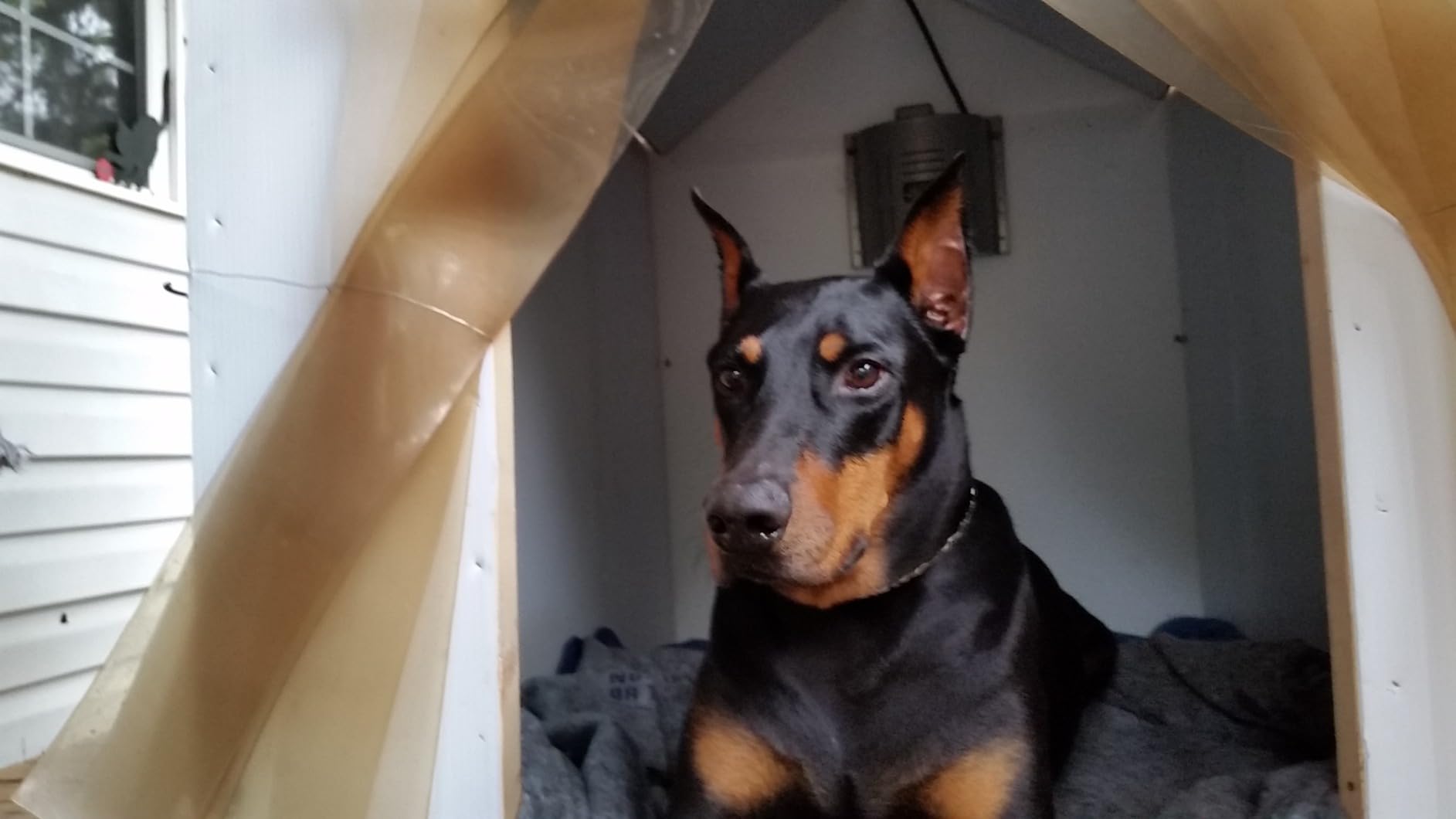 Dog House Heater Plus Model Designed for Most Dog Houses