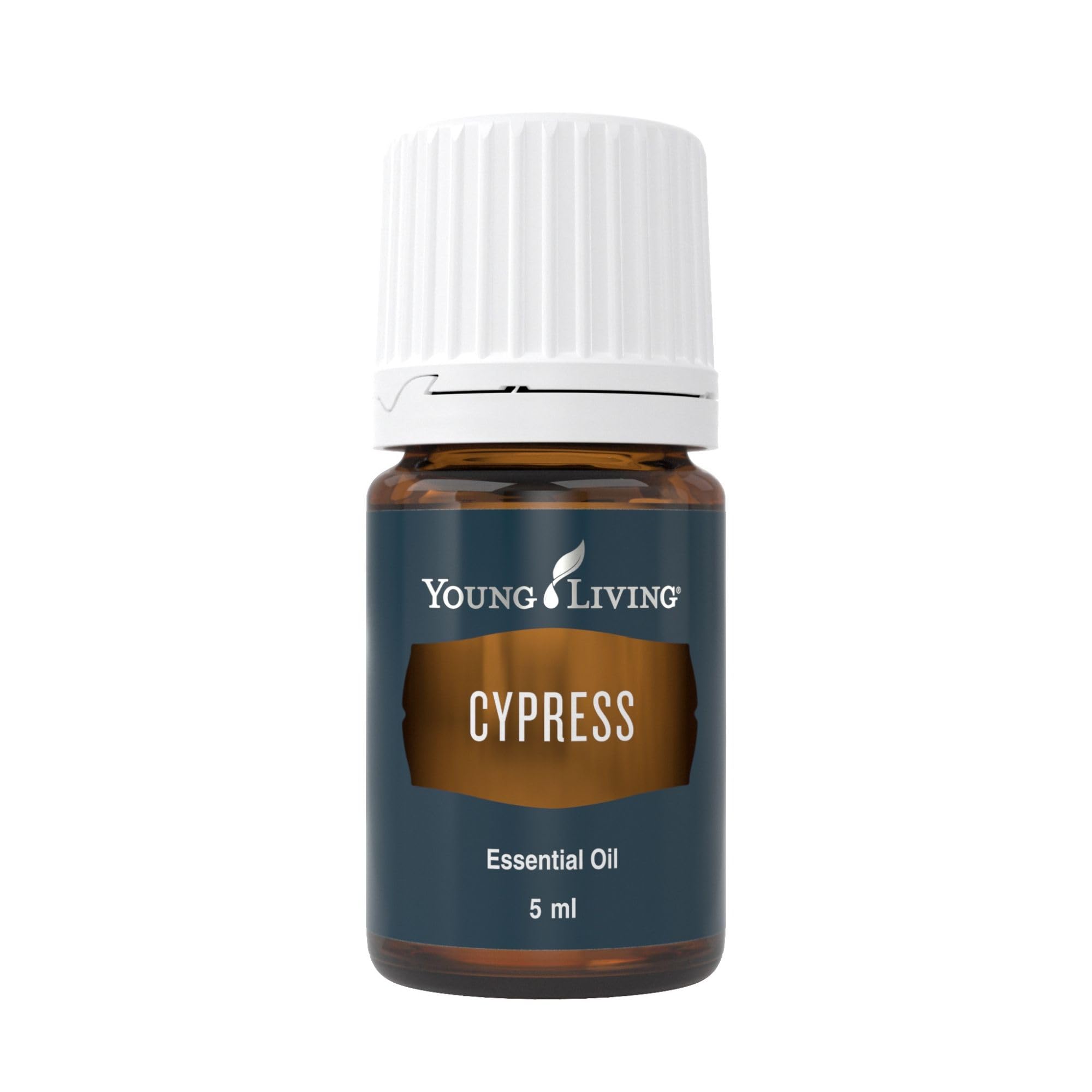 Amazon.com: Young Living - Cypress Essential Oil 5 ml